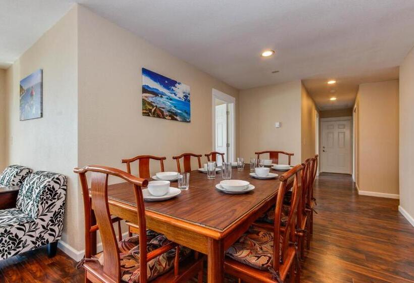 شقة غرفة واحدة, The Whale At Sandstone Point