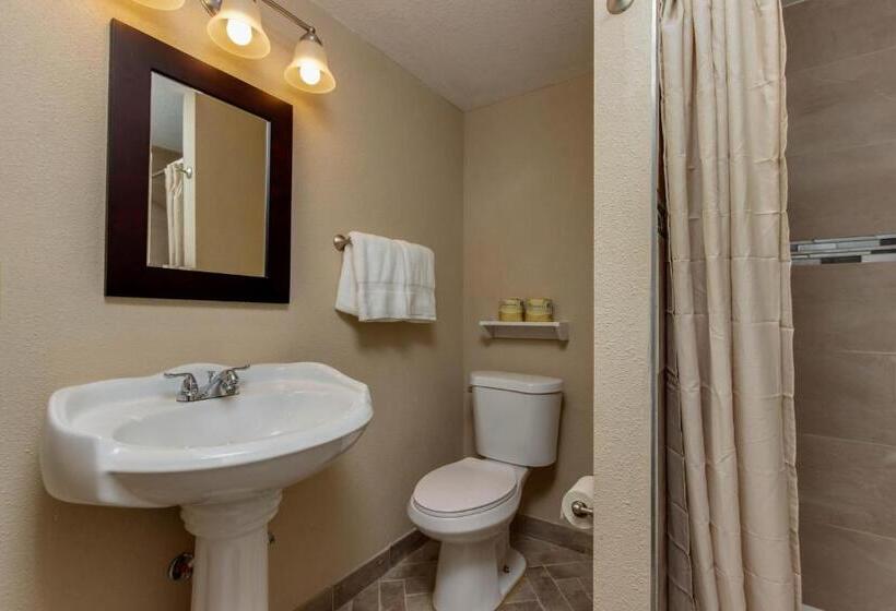 جناح, The Whale At Sandstone Point