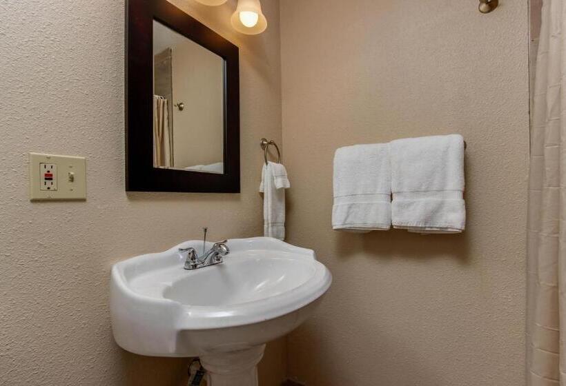 جناح, The Whale At Sandstone Point