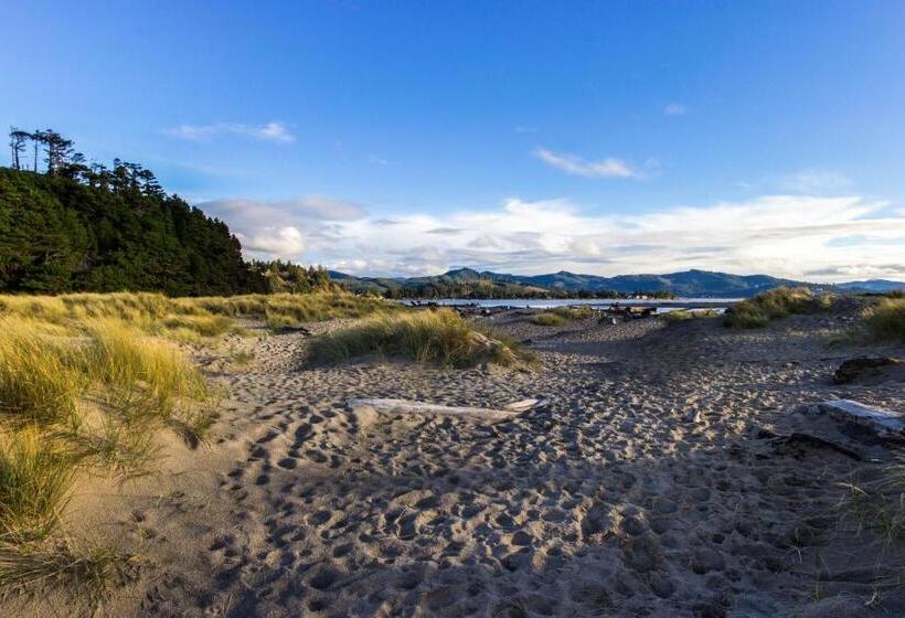 شقة غرفة واحدة, The Whale At Sandstone Point