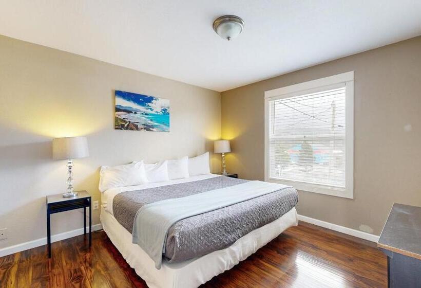 شقة غرفة واحدة, The Whale At Sandstone Point