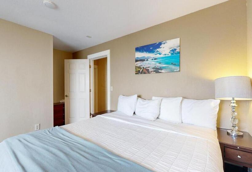 شقة غرفة واحدة, The Whale At Sandstone Point