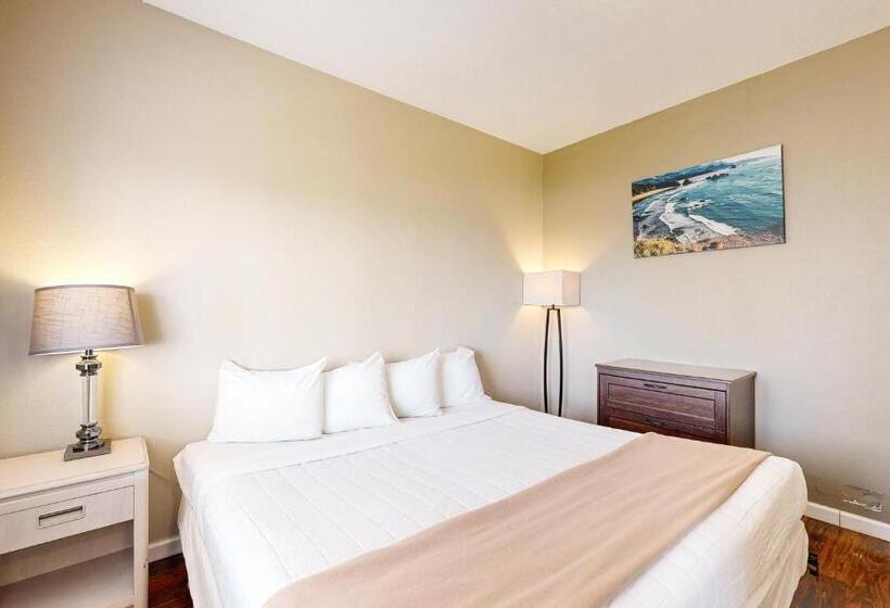 جناح, The Whale At Sandstone Point