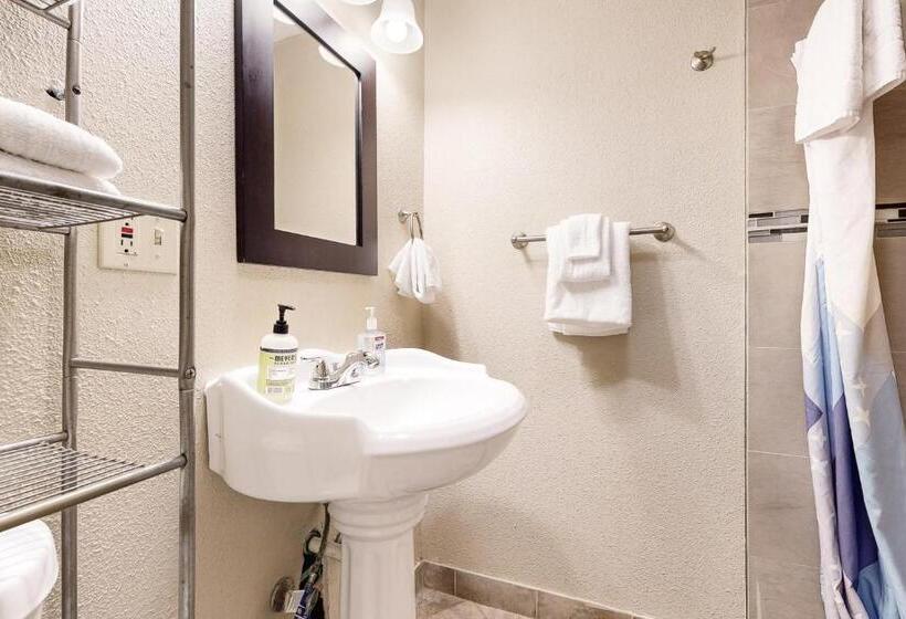 جناح, The Whale At Sandstone Point