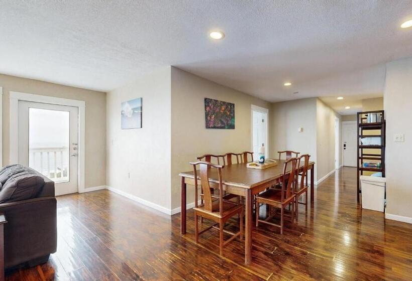 شقة غرفة واحدة, The Whale At Sandstone Point