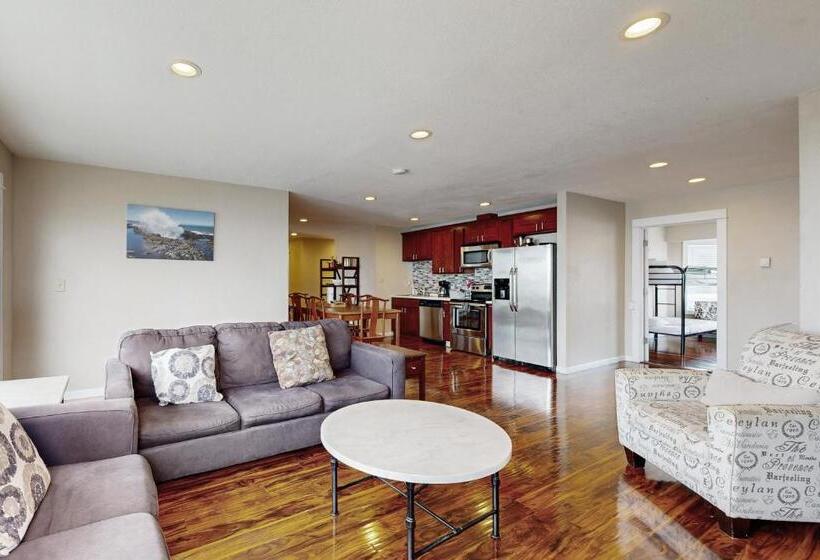 شقة غرفة واحدة, The Whale At Sandstone Point