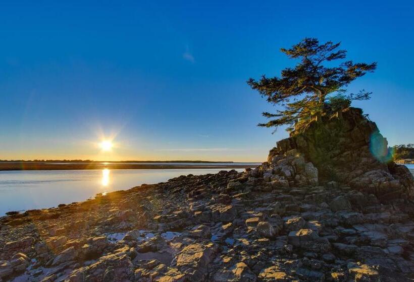 شقة غرفة واحدة, The Whale At Sandstone Point