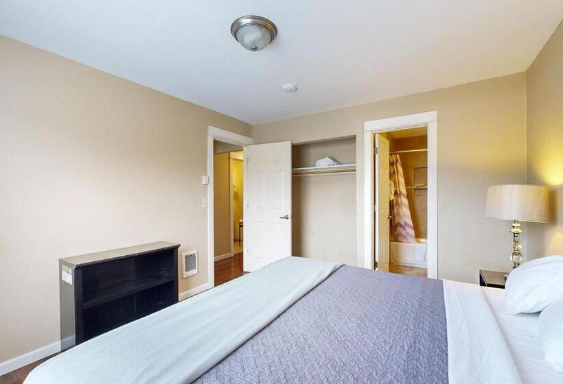 شقة غرفة واحدة, The Whale At Sandstone Point