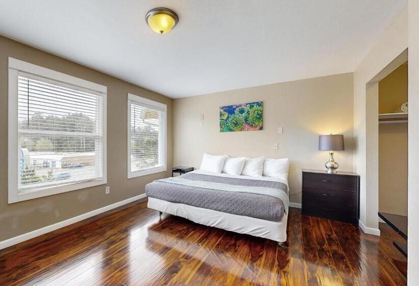 شقة غرفة واحدة, The Whale At Sandstone Point