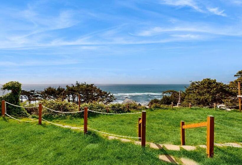 جناح, The Whale At Sandstone Point