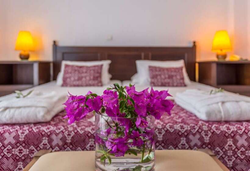 Номер Стандарт, Agionissi Resort
