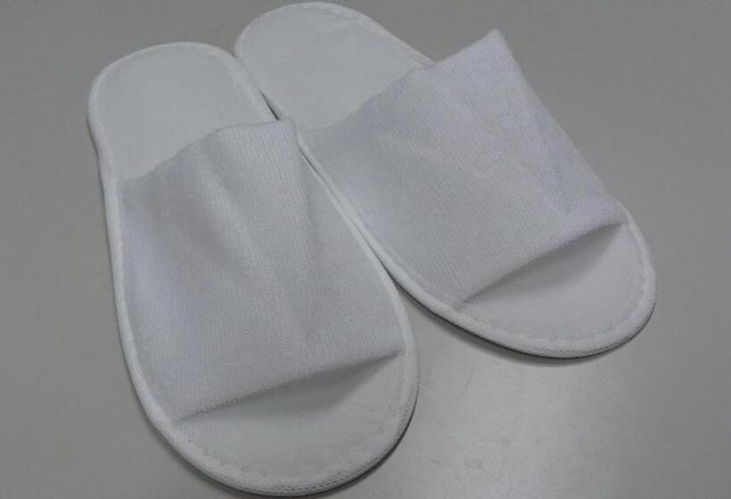 חדר סופריור לשלושה, Matsuyama Tokyu Rei