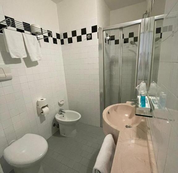 Camera Standard, Panorama