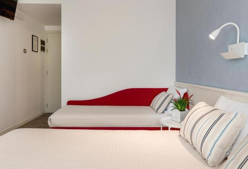 Camera Familiare, Panorama