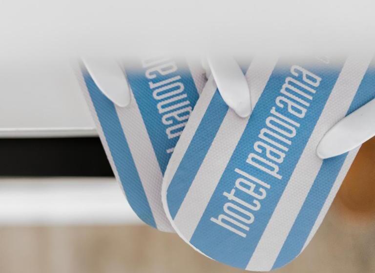 Camera Deluxe, Panorama