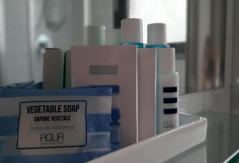 Camera Deluxe, Panorama