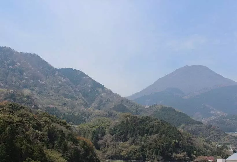 اتاق استاندارد, Beppu Suginoi