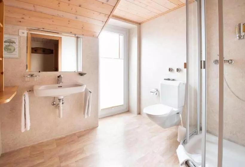 Comfort room with mountain view, Suisse