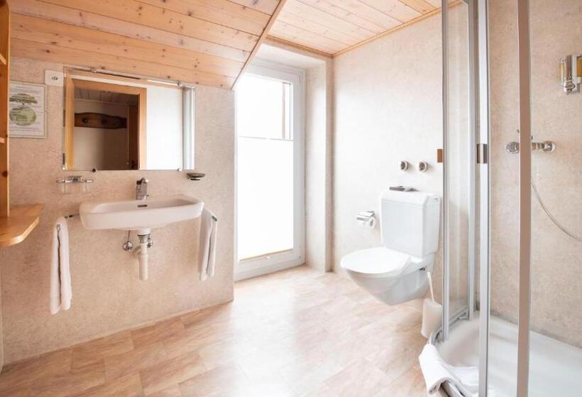 エコノミールーム, Suisse