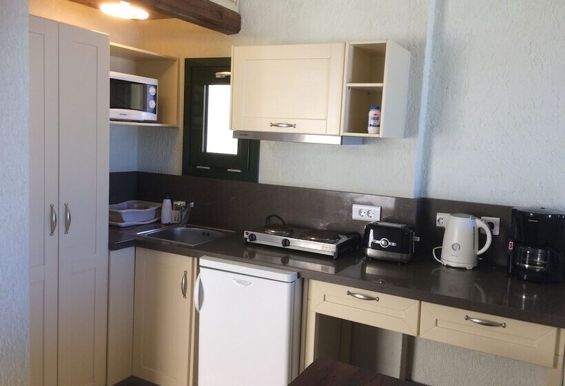 شقة غرفة واحدة مطلة على البحر, Porto Sisi Hotel Apartments