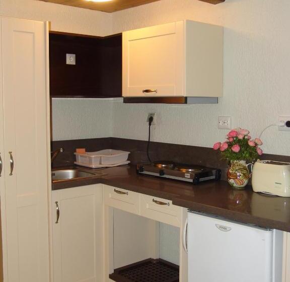 آپارتمان 1 خوابه با چشم‌انداز باغ, Porto Sisi Hotel Apartments