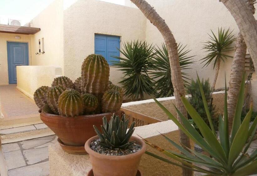 شقة سوبريور غرفة واحدة, Porto Sisi Hotel Apartments