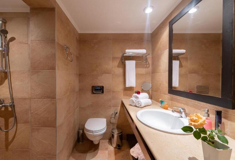 شقة سوبريور غرفة واحدة, Porto Sisi Hotel Apartments