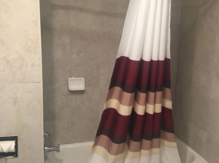 带2个双人床的标准工作室, Caravan Motel