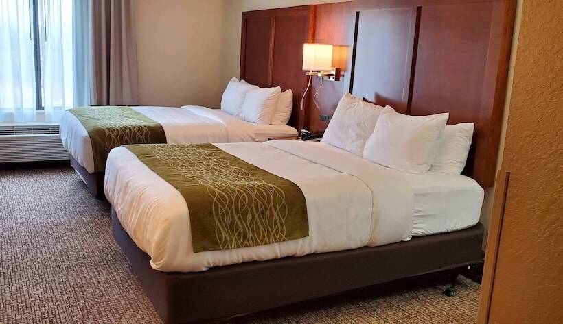 غرفه قياسيه سريرين مزدوجين, Comfort Inn & Suites Decatur Forsyth