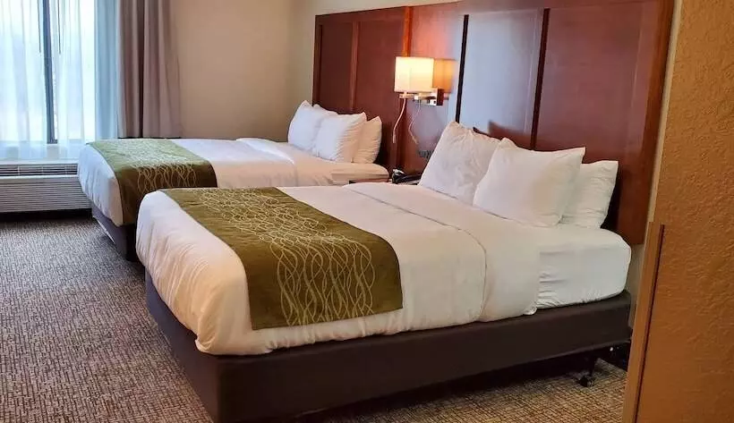 اتاق استاندارد با 2 تخت دوبل, Comfort Inn & Suites Decatur Forsyth