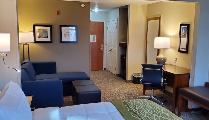 غرفه قياسيه سريرين مزدوجين, Comfort Inn & Suites Decatur Forsyth