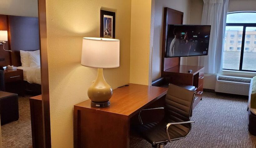 غرفه قياسيه سريرين مزدوجين, Comfort Inn & Suites Decatur Forsyth