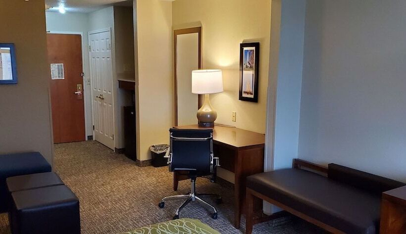 스탠다드 룸 더블 침대 2개, Comfort Inn & Suites Decatur Forsyth