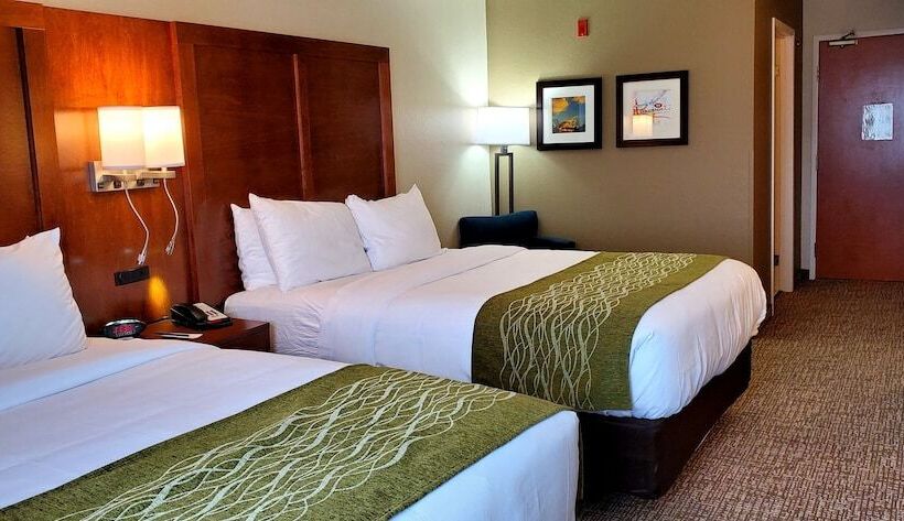 غرفه قياسيه سريرين مزدوجين, Comfort Inn & Suites Decatur Forsyth