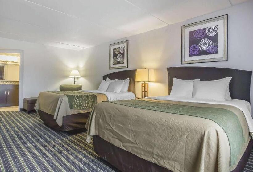 スタンダードルーム, Comfort Inn & Suites
