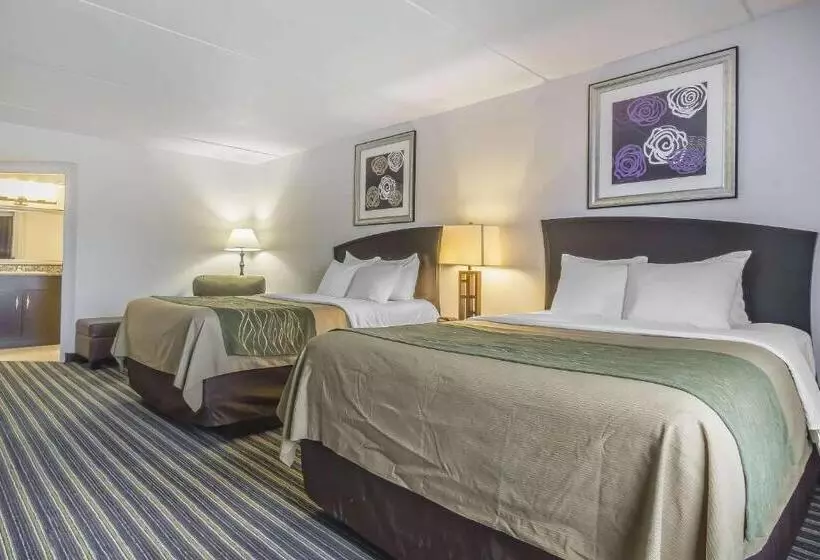 スタンダードルーム, Comfort Inn & Suites