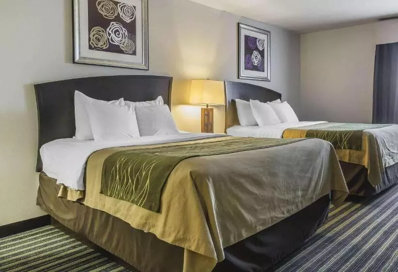 スタンダードルーム, Comfort Inn & Suites