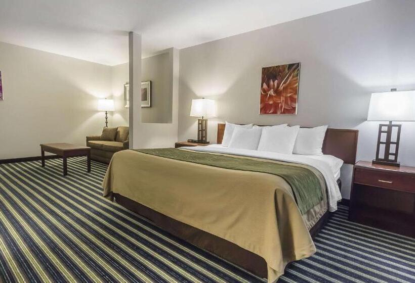 キングサイズベッドのスイートルーム, Comfort Inn & Suites