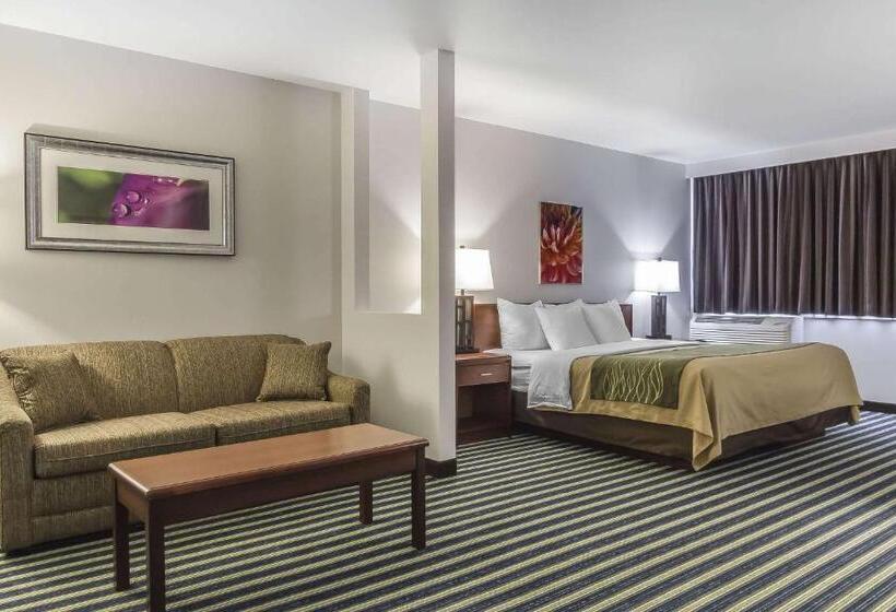 Люкс Кровать Кинг, Comfort Inn & Suites