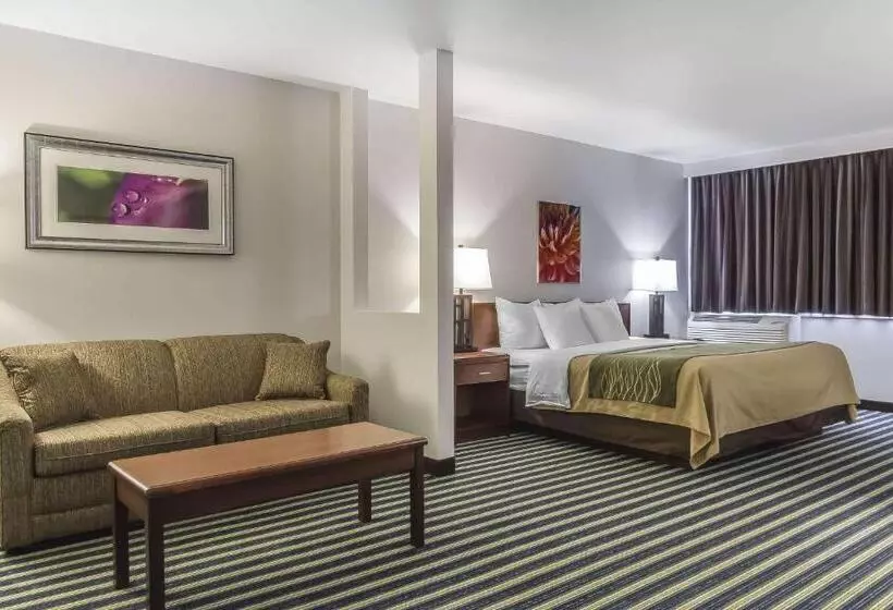 キングサイズベッドのスイートルーム, Comfort Inn & Suites