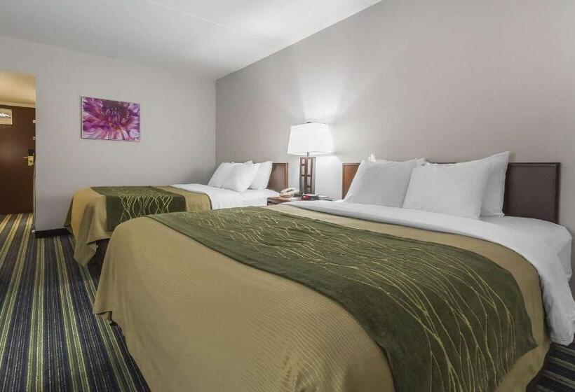Номер Стандарт, Comfort Inn & Suites