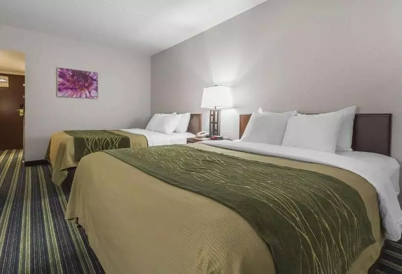 スタンダードルーム, Comfort Inn & Suites