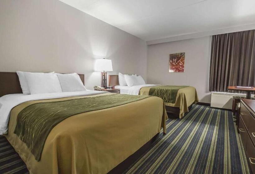 スタンダードルーム, Comfort Inn & Suites
