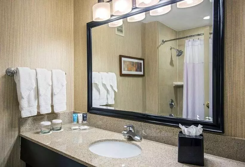 اتاق استاندارد با 2 تخت دوبل, Crowne Plaza Newark Airport, An Ihg