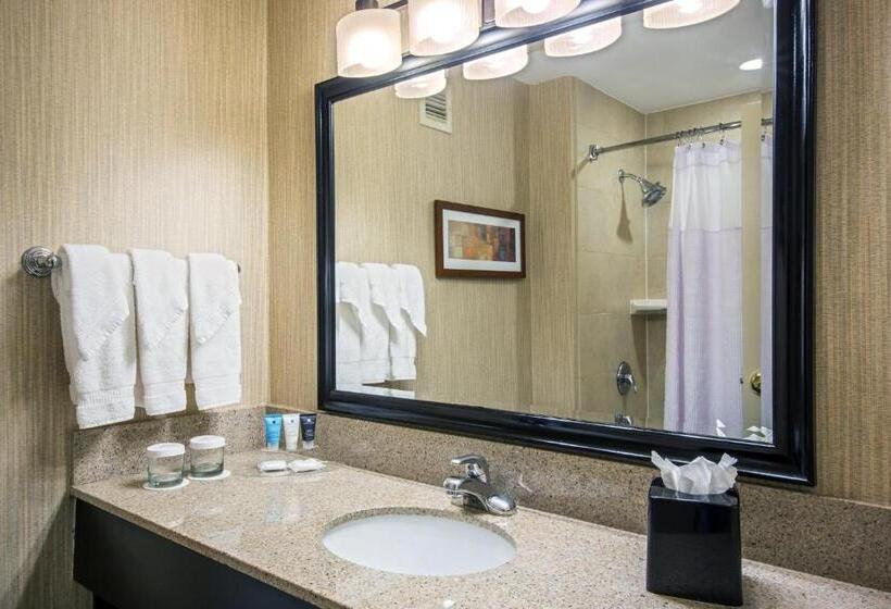 스탠다드 룸 킹사이즈 침대, Crowne Plaza Newark Airport, An Ihg