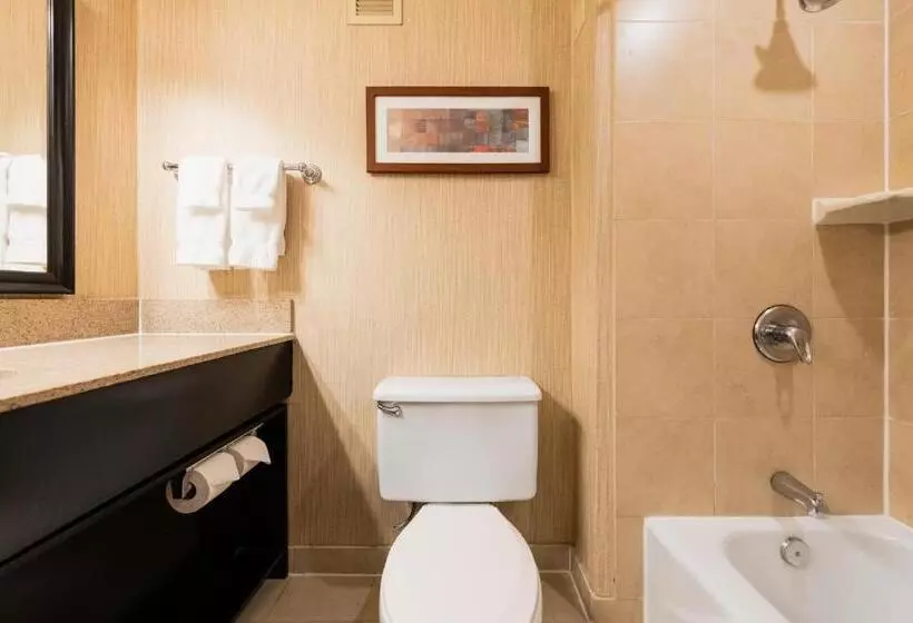 اتاق استاندارد با تخت بزرگ, Crowne Plaza Newark Airport, An Ihg