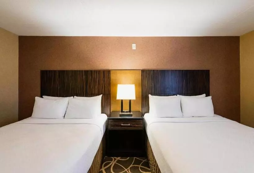 اتاق استاندارد, Crowne Plaza Newark Airport, An Ihg