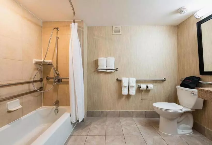 اتاق استاندارد با تخت بزرگ برای معلولان, Crowne Plaza Newark Airport, An Ihg