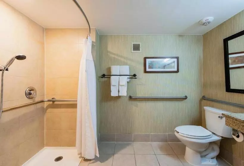 اتاق استاندارد با تخت بزرگ برای معلولان, Crowne Plaza Newark Airport, An Ihg
