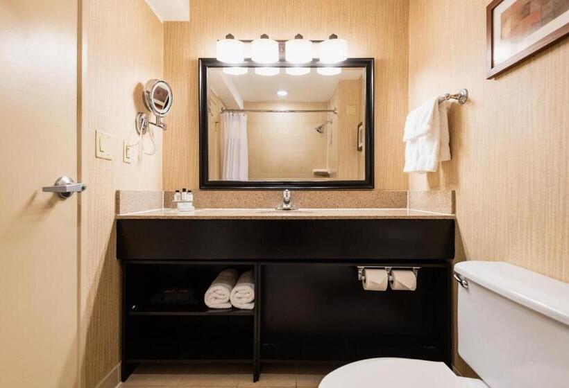 이그제큐티브 룸 킹사이즈 침대, Crowne Plaza Newark Airport, An Ihg